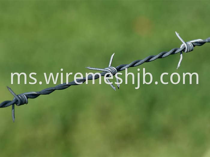 Barbed Wire Line